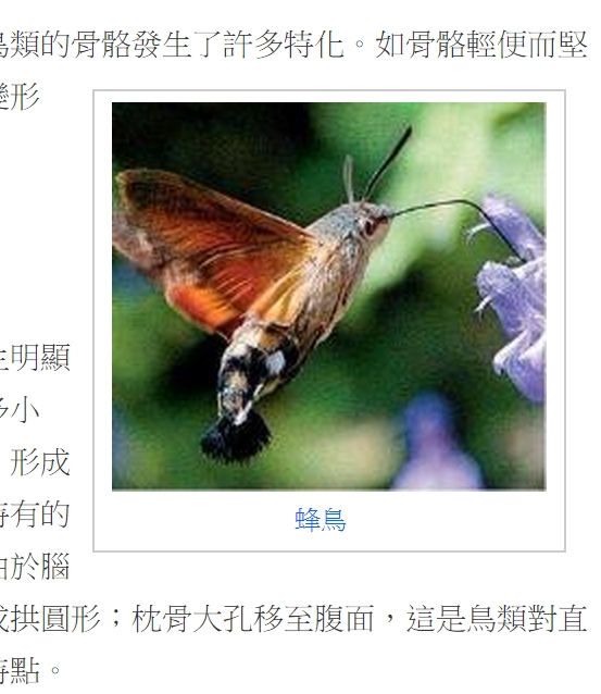 中文百科在線將長喙天蛾誤為蜂鳥-20150830.jpg - 日誌用相簿