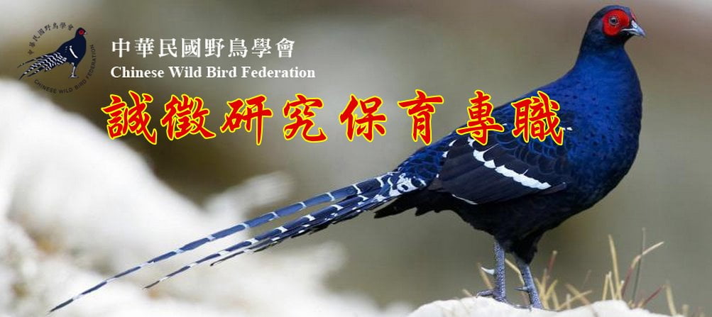 中華鳥會徵研究保育專職-20151031截止.jpg - 日誌用相簿