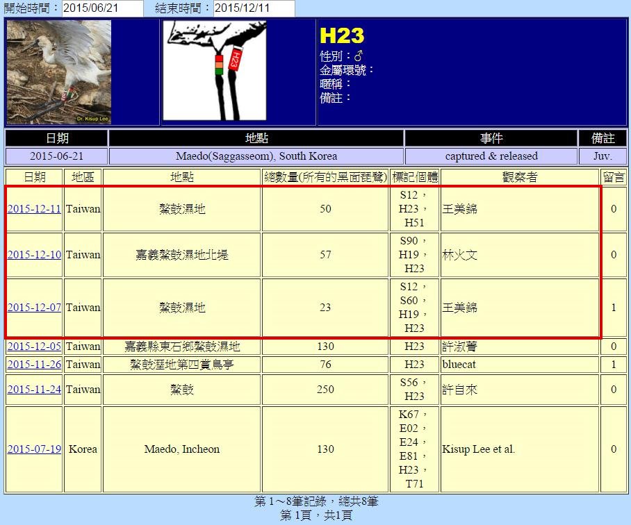 黑琵H23在台灣發現及鰲鼓解說員登錄紀錄-20151211-後製.jpg - 黑面琵鷺