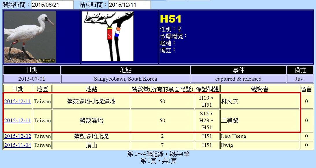 黑琵H51在台灣發現及鰲鼓解說員登錄紀錄-20151211-後製.jpg - 黑面琵鷺