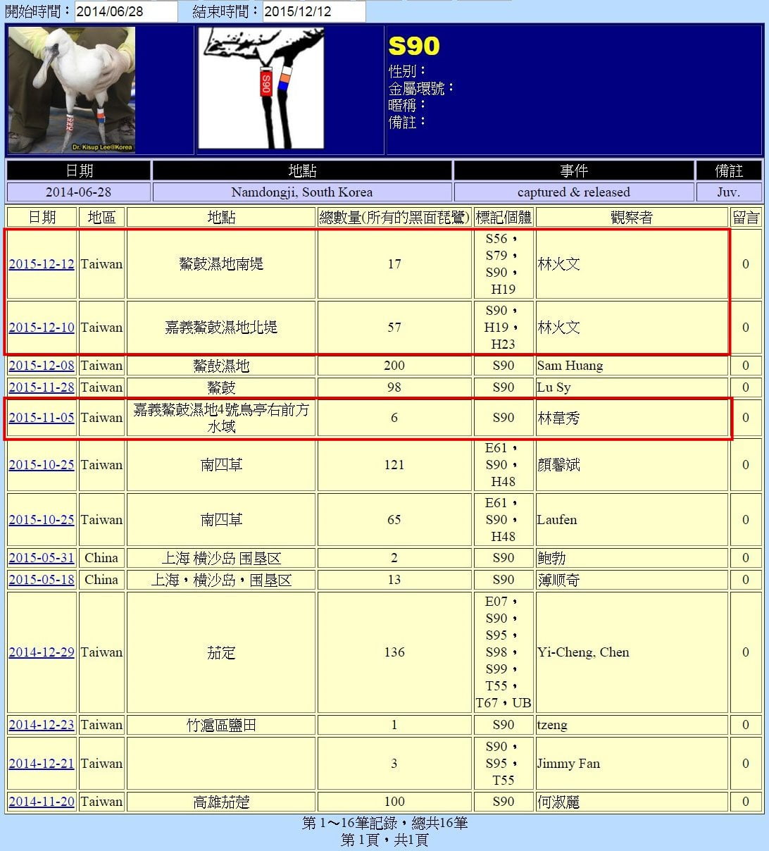 黑琵S90在鰲鼓濕地由解說員記錄次數-20151212-後製.jpg - 黑面琵鷺