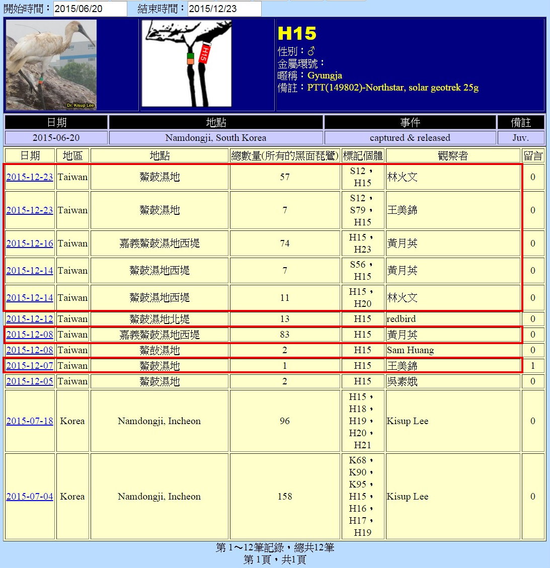 黑琵H15在鰲鼓濕地由解說員記錄次數-20151223-後製.jpg - 黑面琵鷺