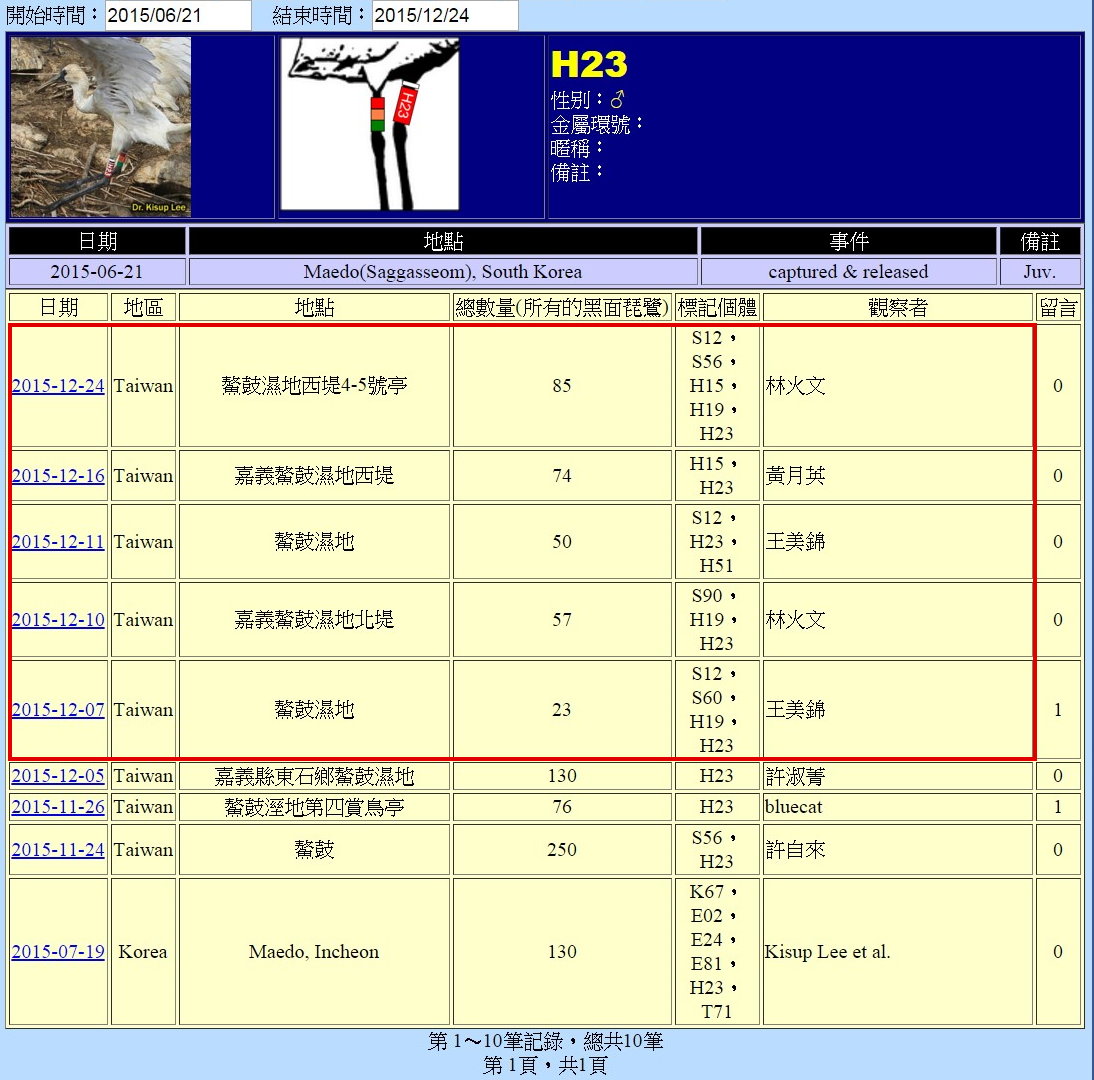 黑琵H23在鰲鼓濕地由解說員記錄次數-20151224-後製.jpg - 黑面琵鷺