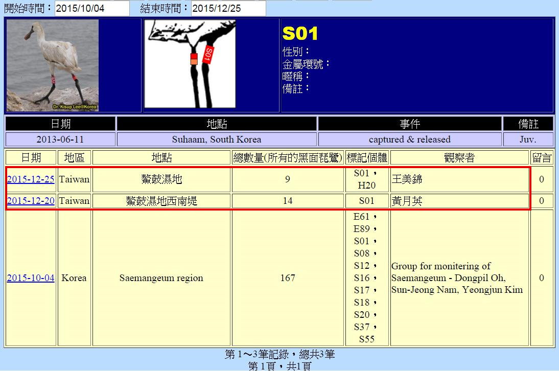 黑琵S01在鰲鼓濕地由解說員記錄次數-20151004後-20151225-後製.jpg - 黑面琵鷺