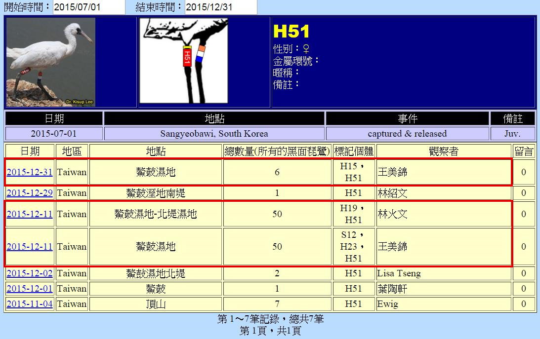 黑琵H51在鰲鼓濕地由解說員記錄次數-20151231-後製.jpg - 黑面琵鷺