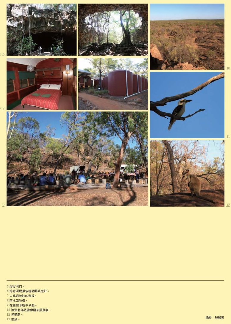 綠雜誌GREEN38_澳洲Undara Experience 度假村的合縱連橫-賴鵬智-201512_頁面_5-裁切-縮.jpg - 日誌用相簿
