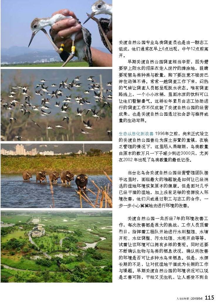 人與生物圈雙月刊-20150506號-台北關渡自然公園-陳仕泓_頁面_1-2.jpg - 日誌用相簿