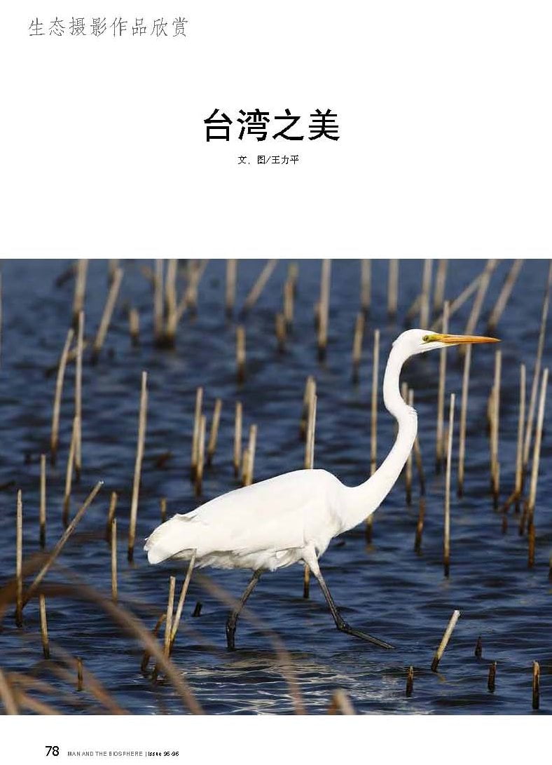 人與生物圈雙月刊-20150506號-台灣之美-王力平_頁面_1-1.jpg - 日誌用相簿