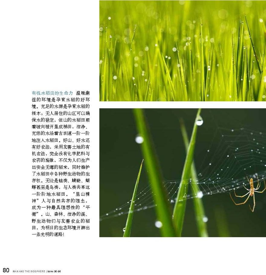 人與生物圈雙月刊-20150506號-台灣之美-王力平_頁面_2-1.jpg - 日誌用相簿