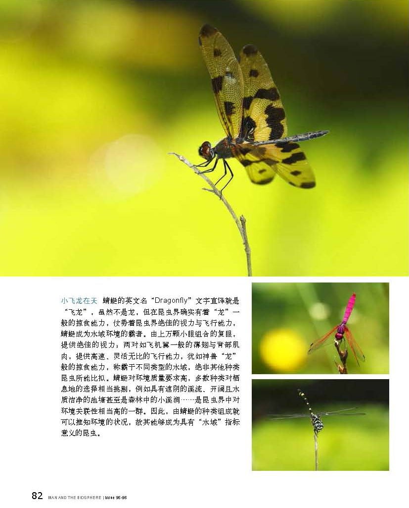 人與生物圈雙月刊-20150506號-台灣之美-王力平_頁面_3-1.jpg - 日誌用相簿