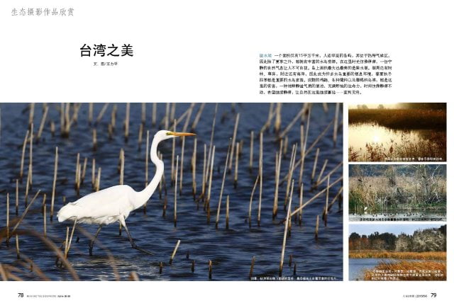 人與生物圈雙月刊-20150506號-台灣之美-王力平_頁面_1-縮.jpg - 日誌用相簿