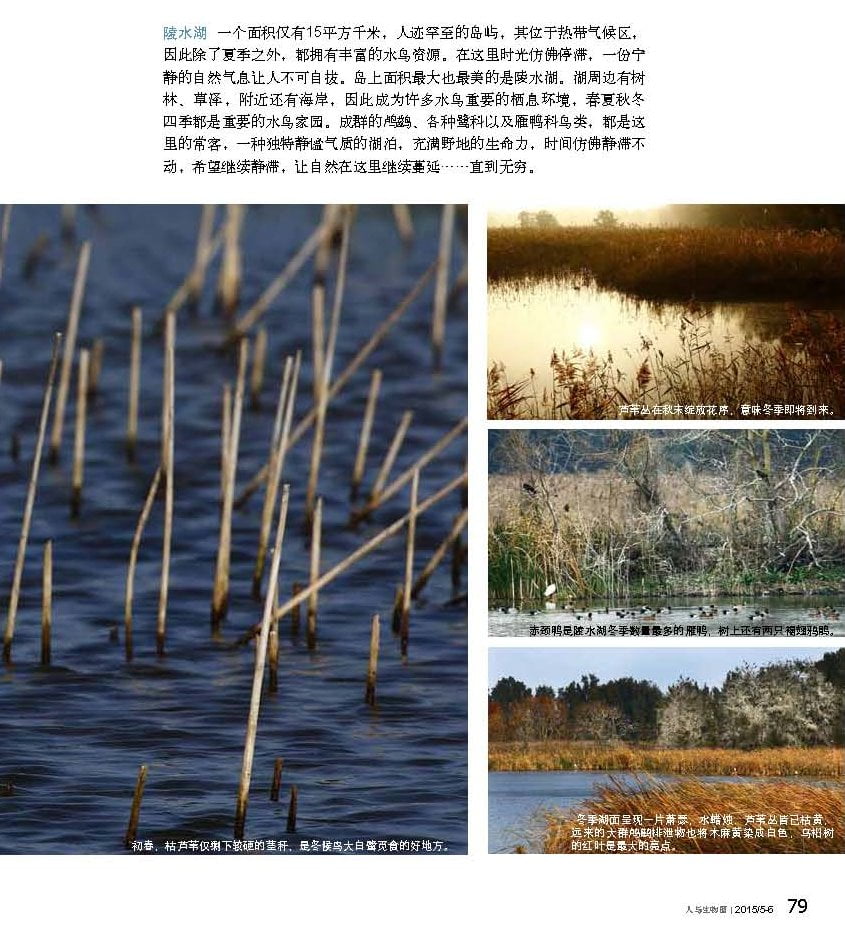 人與生物圈雙月刊-20150506號-台灣之美-王力平_頁面_1-2.jpg - 日誌用相簿