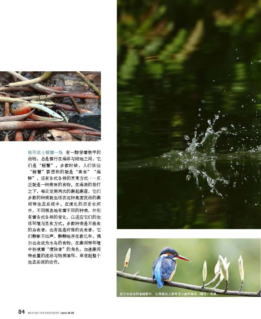 人與生物圈雙月刊-20150506號-台灣之美-王力平_頁面_4-1.jpg - 日誌用相簿