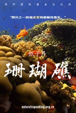 大自然在說話-珊瑚礁篇畫面-2016.jpg - 日誌用相簿