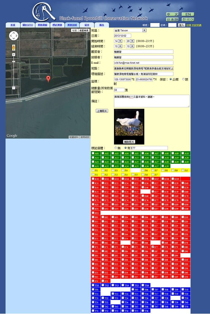 黑面琵鷺腳環資料上傳畫面-20131209