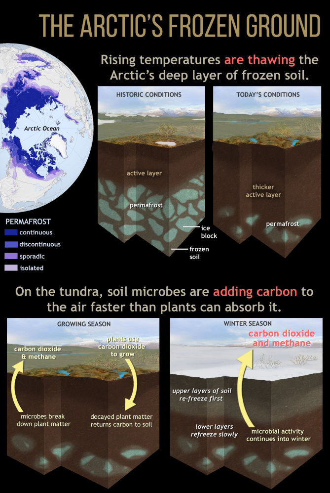 北極永凍土愈來愈少排碳愈多ArcticCarbonCycle-2016北極年度報告-縮.jpg - 日誌用相簿