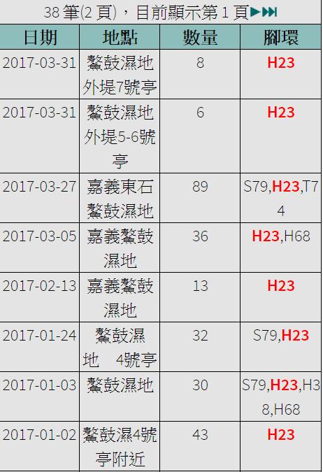 黑琵H23在台紀錄-20170102之後-20170331.jpg - 黑面琵鷺