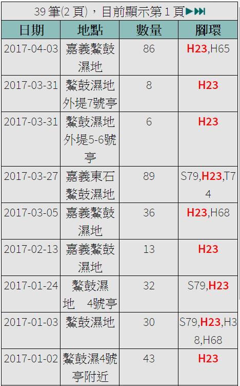 黑琵H23在台紀錄-20170102之後-20170403.jpg - 黑面琵鷺