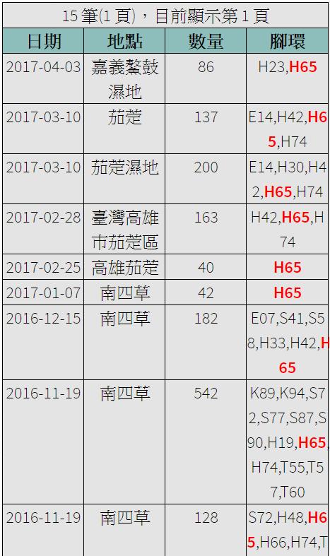 黑琵H65在台紀錄-20161119之後-20170403.jpg - 黑面琵鷺