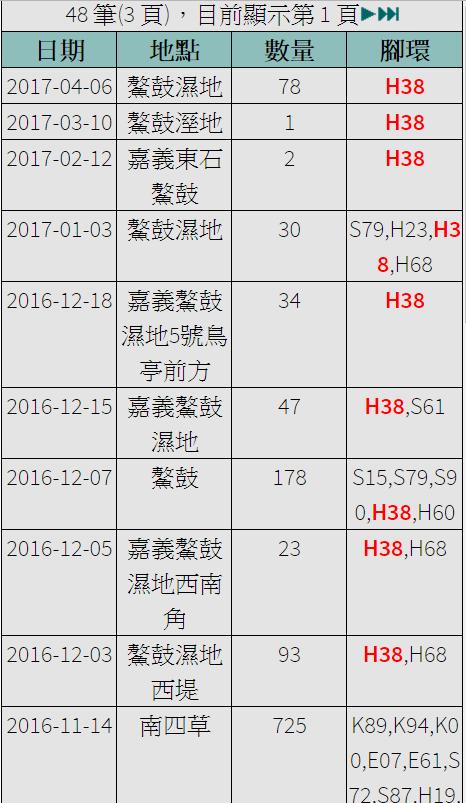 黑琵H38在台紀錄-20161114之後-20170406.jpg - 黑面琵鷺