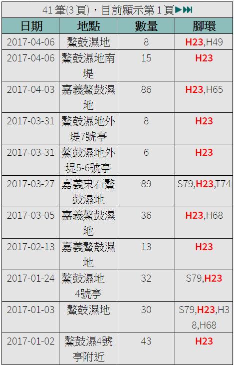 黑琵H23在台紀錄-20170102之後-20170406.jpg - 黑面琵鷺