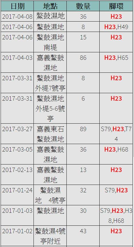 黑琵H23在台紀錄-20170102之後-20170408-縮.jpg - 黑面琵鷺