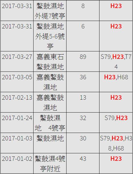 黑琵H23在台紀錄-20170102之後-20170411之2.jpg - 黑面琵鷺