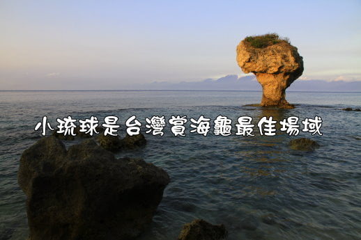 小琉球花瓶岩-20170410-賴鵬智攝-2-縮.JPG - 綠蠵龜