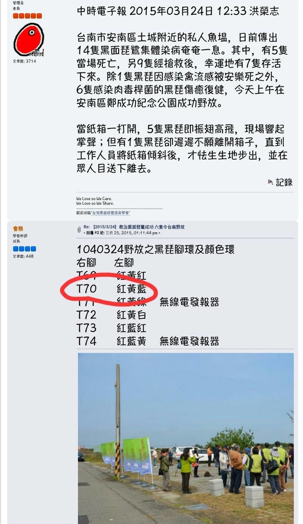 T70中毒救治後野放報導-中國時報-20150324.jpg - 黑面琵鷺