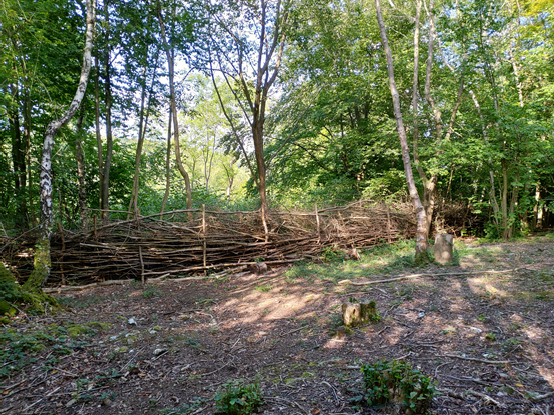 圖3運用林地整理後的木材製作圍籬.png - 英國FSC森林環境教育與林地管理課程