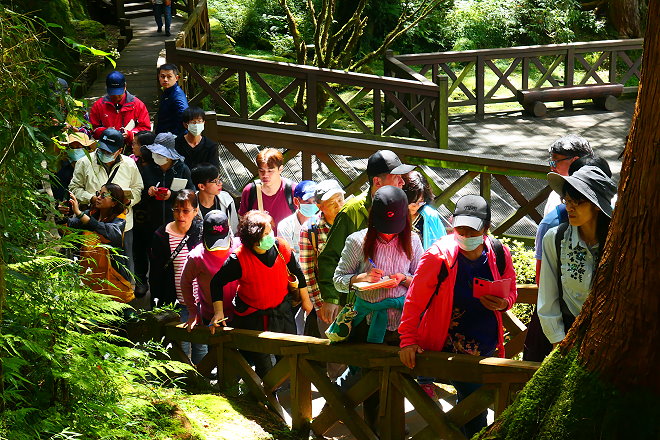 23.JPG - 阿里山森林遊樂區在地居民學習導覽解說