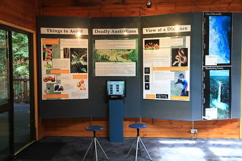 壓縮-澳洲昆士蘭 Daintree Discovery Centre解說展示中心內觀-20141119-賴鵬智攝-min