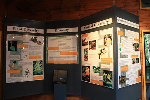壓縮-澳洲昆士蘭 Daintree Discovery Centre解說展示中心-生物多樣性解說看板-20141119-賴鵬智攝-min