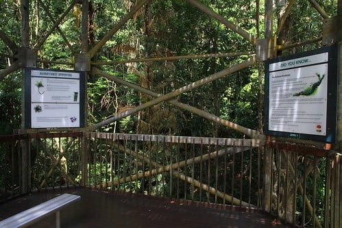 壓縮-澳洲昆士蘭 Daintree Discovery Centre高架觀察塔樓層間的休憩區及解說牌-20141119-賴鵬智攝-2-min