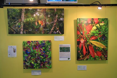 壓縮-澳洲昆士蘭 Daintree Discovery Centre禮品部自然創作展示-20141119-賴鵬智攝-min