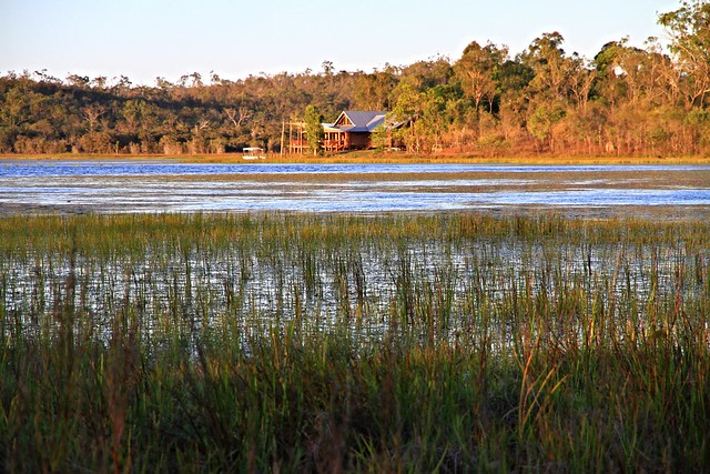 澳洲昆士蘭Jabiru Safari Lodge-Mareeba Wetlands-20141115-賴鵬智攝-30