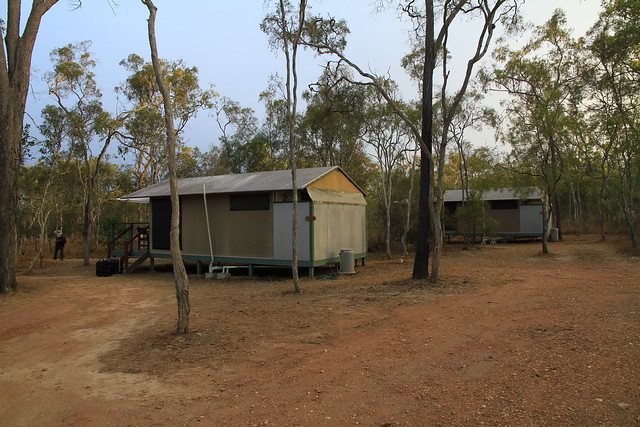 澳洲昆士蘭Jabiru Safari Lodge-帳棚式小屋外觀-20141116-賴鵬智攝-2