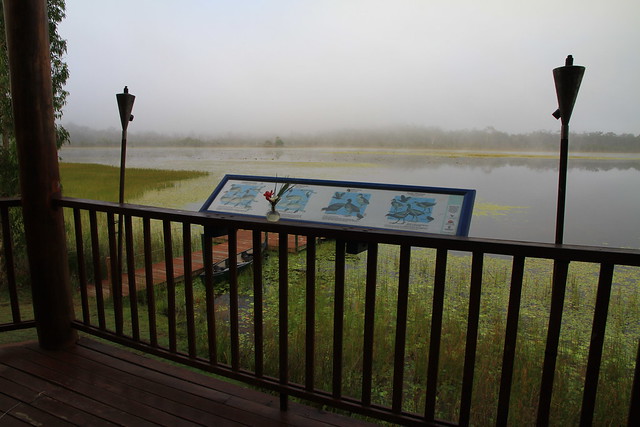 澳洲昆士蘭Jabiru Safari Lodge-Mareeba Wetlands清晨-20141116-賴鵬智攝-5