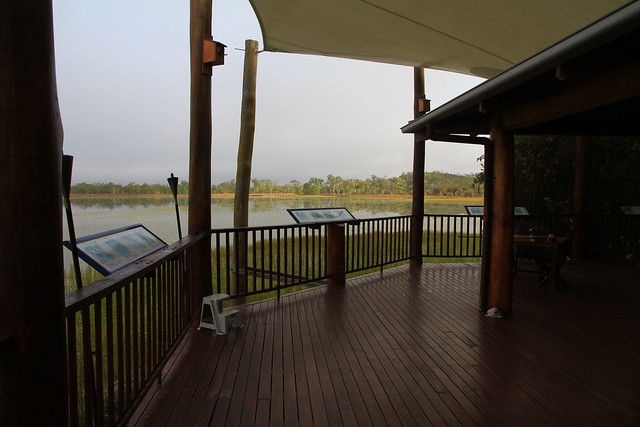 澳洲昆士蘭Jabiru Safari Lodge-Mareeba Wetlands清晨-20141116-賴鵬智攝-4