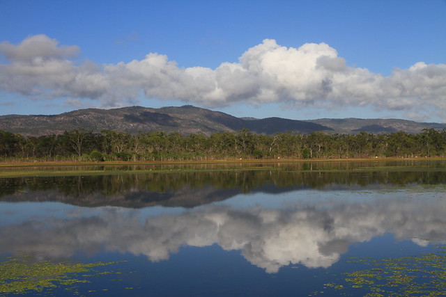 澳洲昆士蘭Jabiru Safari Lodge-Mareeba Wetlands水天一色景觀-20141116-賴鵬智攝-2