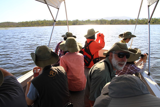 澳洲昆士蘭Jabiru Safari Lodge-Mareeba Wetlands-20141115-賴鵬智攝-19