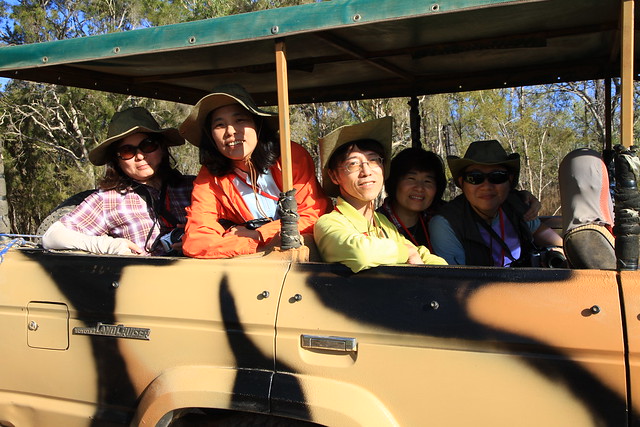 澳洲昆士蘭Jabiru Safari Lodge-Mareeba Wetlands-20141115-賴鵬智攝-22