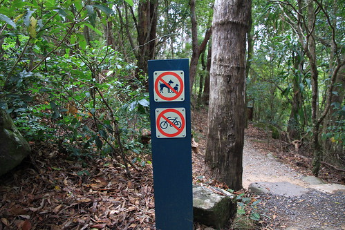 澳洲昆士蘭-Lamington NP -Caves Circuit步道-腳踏車寵物禁入標示-20141120-賴鵬智攝-1