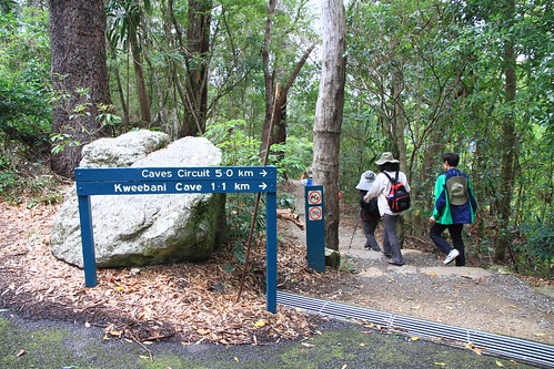 澳洲昆士蘭-Lamington NP -Caves Circuit步道指標-20141120-賴鵬智攝-2