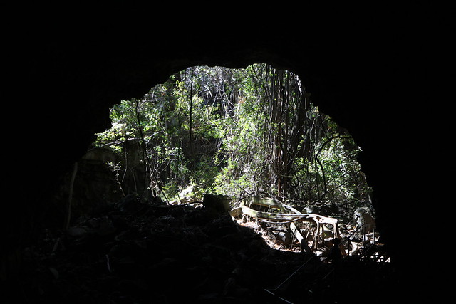 澳洲昆士蘭Undara 火山NP-熔岩洞-20141116-賴鵬智攝-11