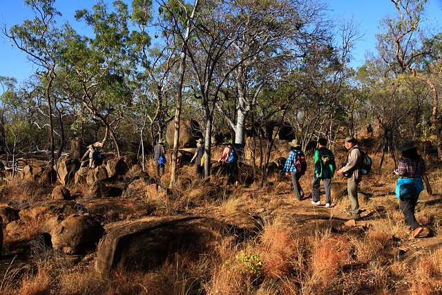 澳洲昆士蘭Undara Experience-清晨Bush walk-20141117-賴鵬智攝-3