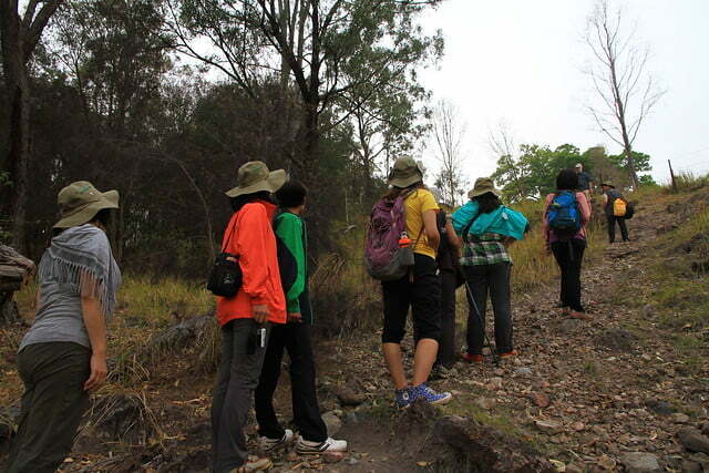 澳洲昆士蘭Mount Barney NP-Mt Barney Lodge-清晨園區漫步-20141123-賴鵬智攝