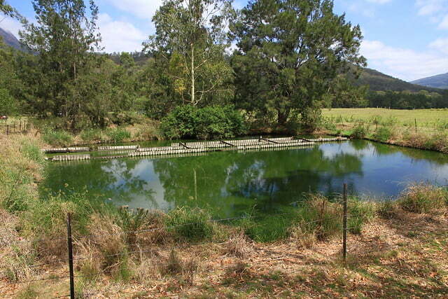 澳洲昆士蘭Mount Barney NP-Mt Barney Lodge-廢水淨化池-20141123-賴鵬智攝