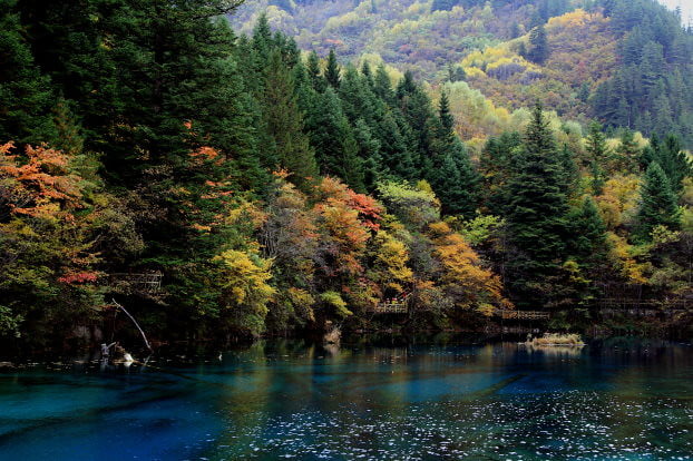 四川九寨溝景點-五花海-20131015-賴鵬智攝-15-縮
