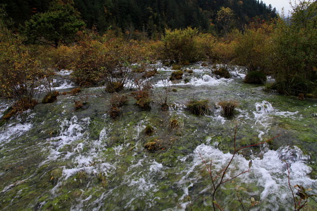 四川九寨溝景點-珍珠灘-20131015-賴鵬智攝-3-縮